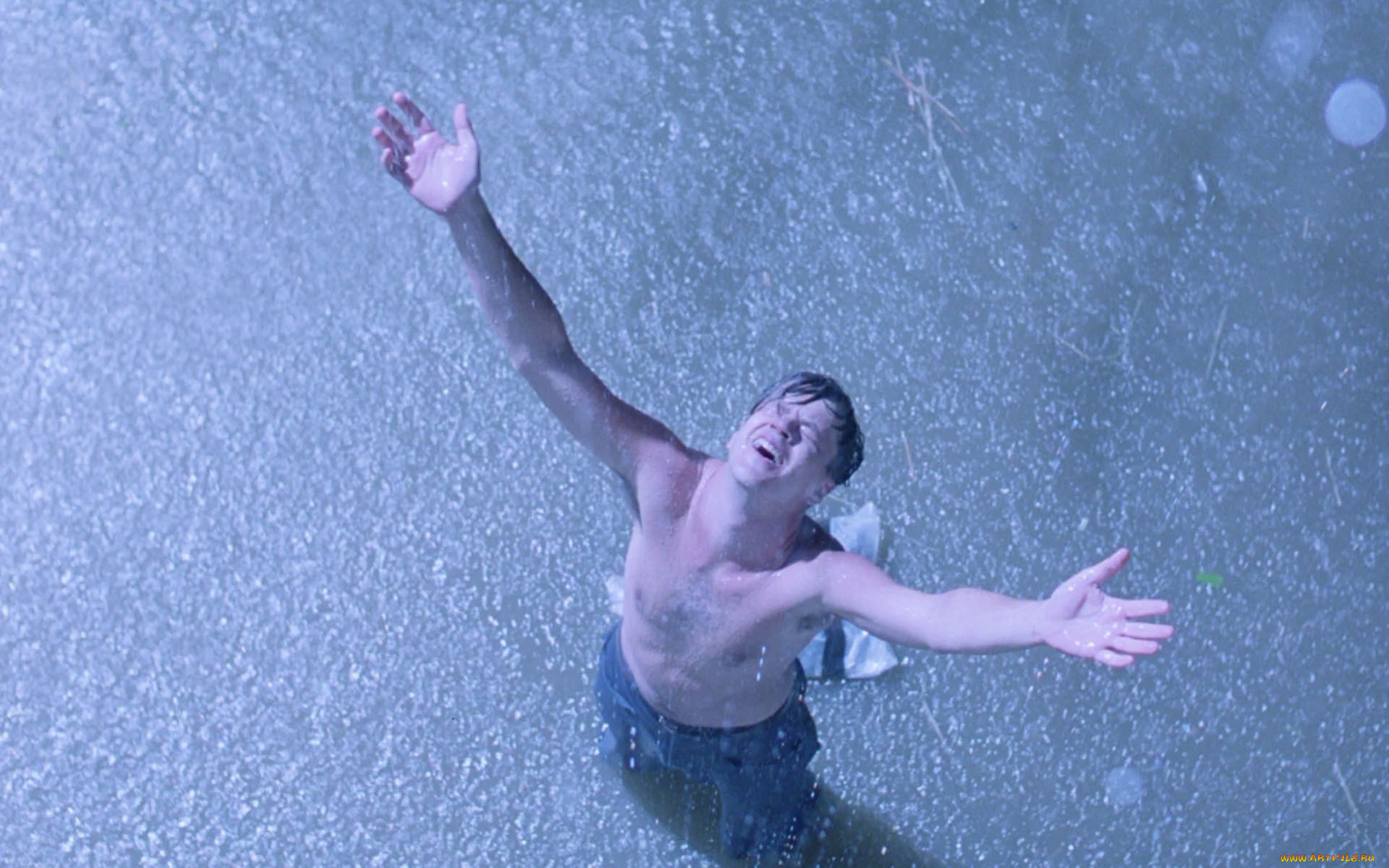 , , the, shawshank, redemption, , , 